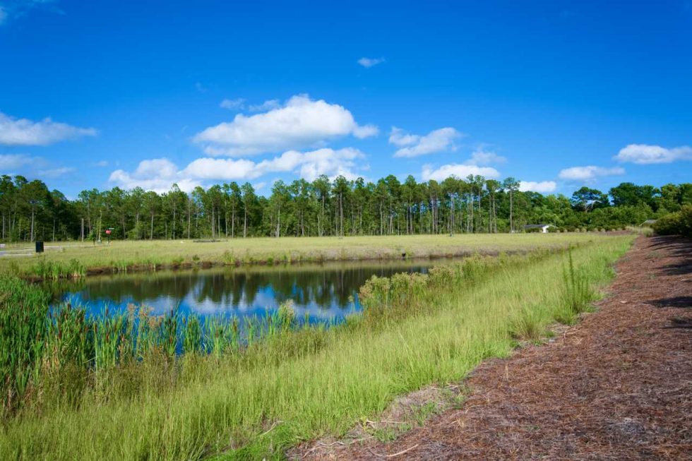 New Homes in Cameron Woods Cameron Woods Homes for Sale