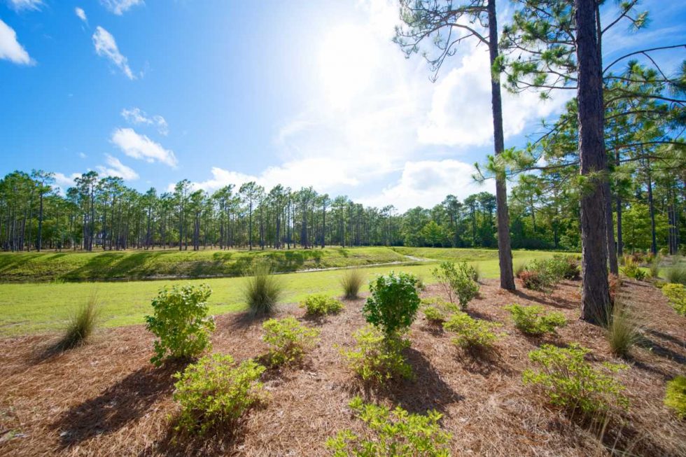 Cameron Woods Garden Homes Cameron Woods Homes for Sale